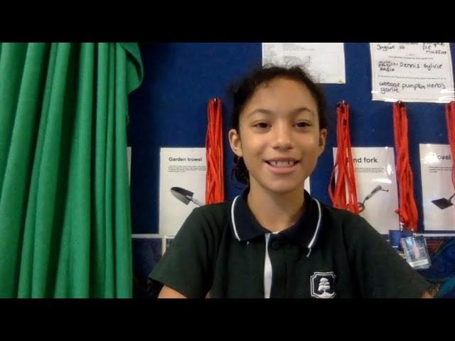 Thumbnail image for DN 5:4:22