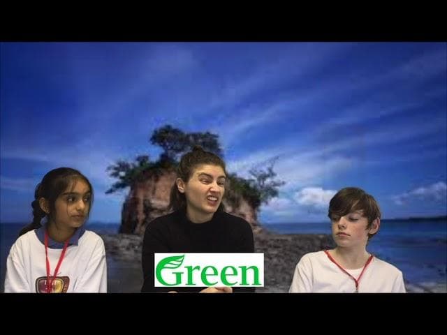 Thumbnail image for Welcome to Tangaroa's Taniwha Forrest Hill School 21 Day YOE Challenge Issue 1