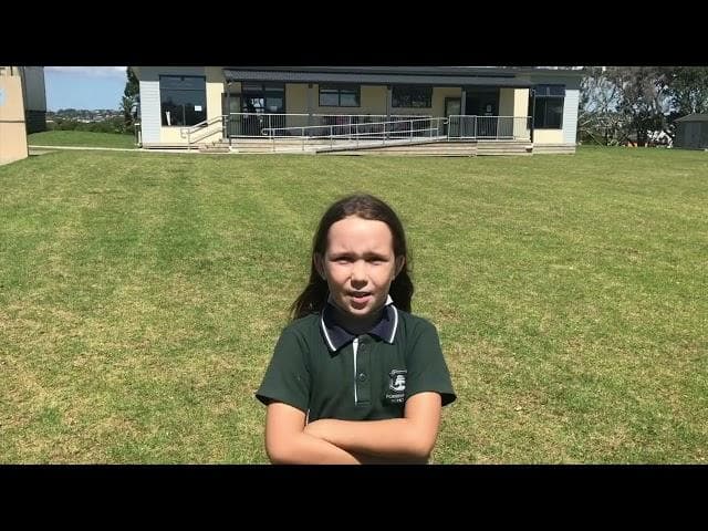 Thumbnail image for DN 28:2:22