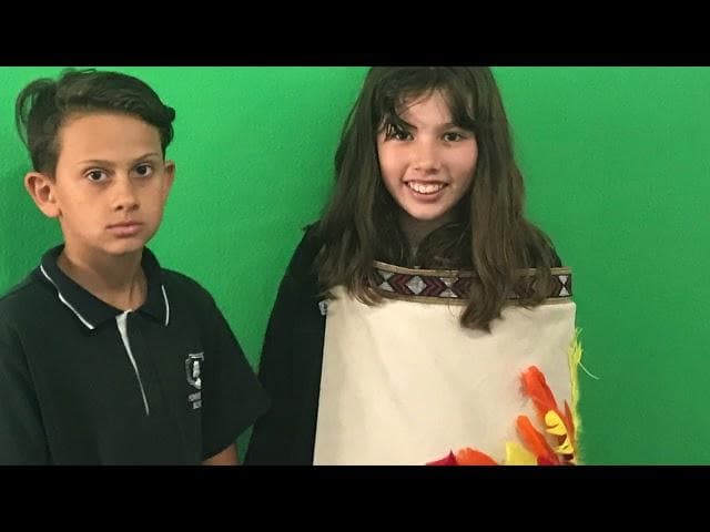 Thumbnail image for Sunnynook Primary Senior School Pupke Taniwha