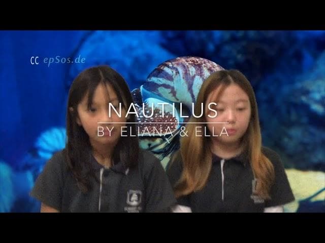 Thumbnail image for Moana Observations Part 1 Final