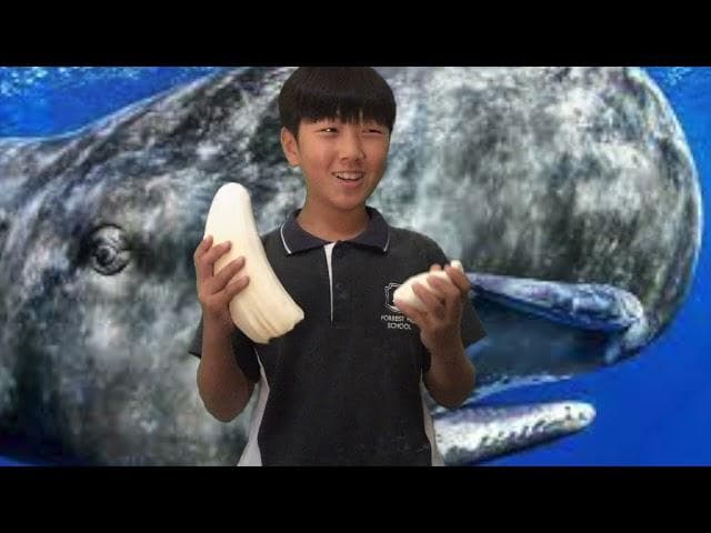 Thumbnail image for Moana Scientific Observations Part 2