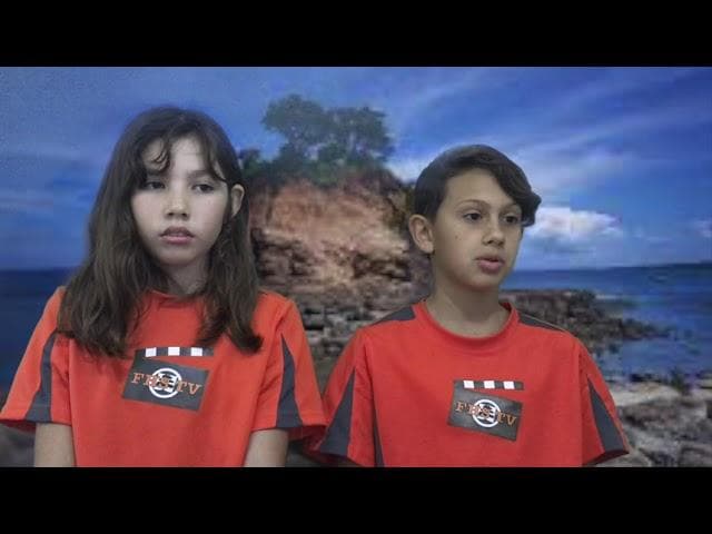 Thumbnail image for Tangaroa's Taniwha Petition update May 2021