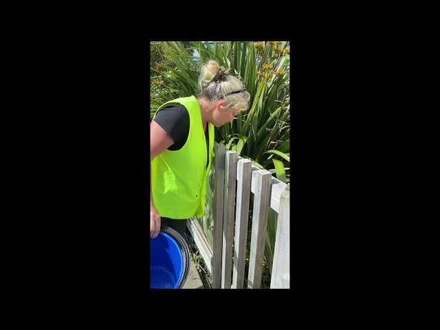 Thumbnail image for DN23:11:21